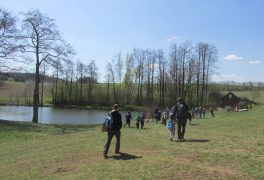 Výběrové řízení – pedagog volného času