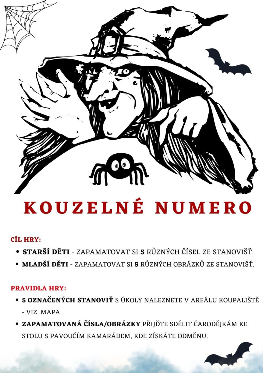 Kouzelné numero – základní informace ke hře na koupališti